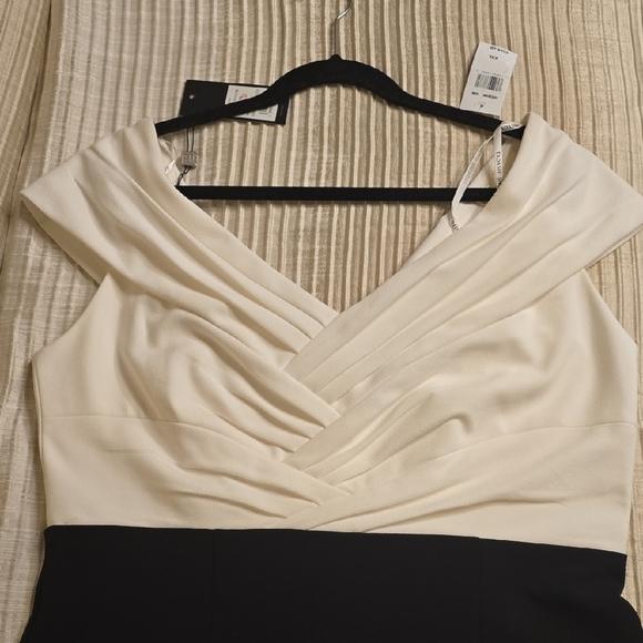 Tadashi Shoji Cream and Black Midi Dress - Picture 13 of 13